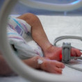 WHO varuje před nedostatkem pracovní síly ve zdravotnictví, každý čtvrtý lékař se blíží důchodovému věku